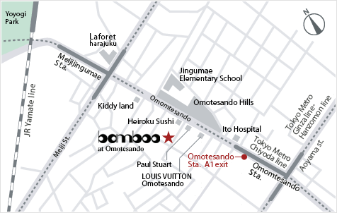 Access Map