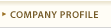 Company Profile